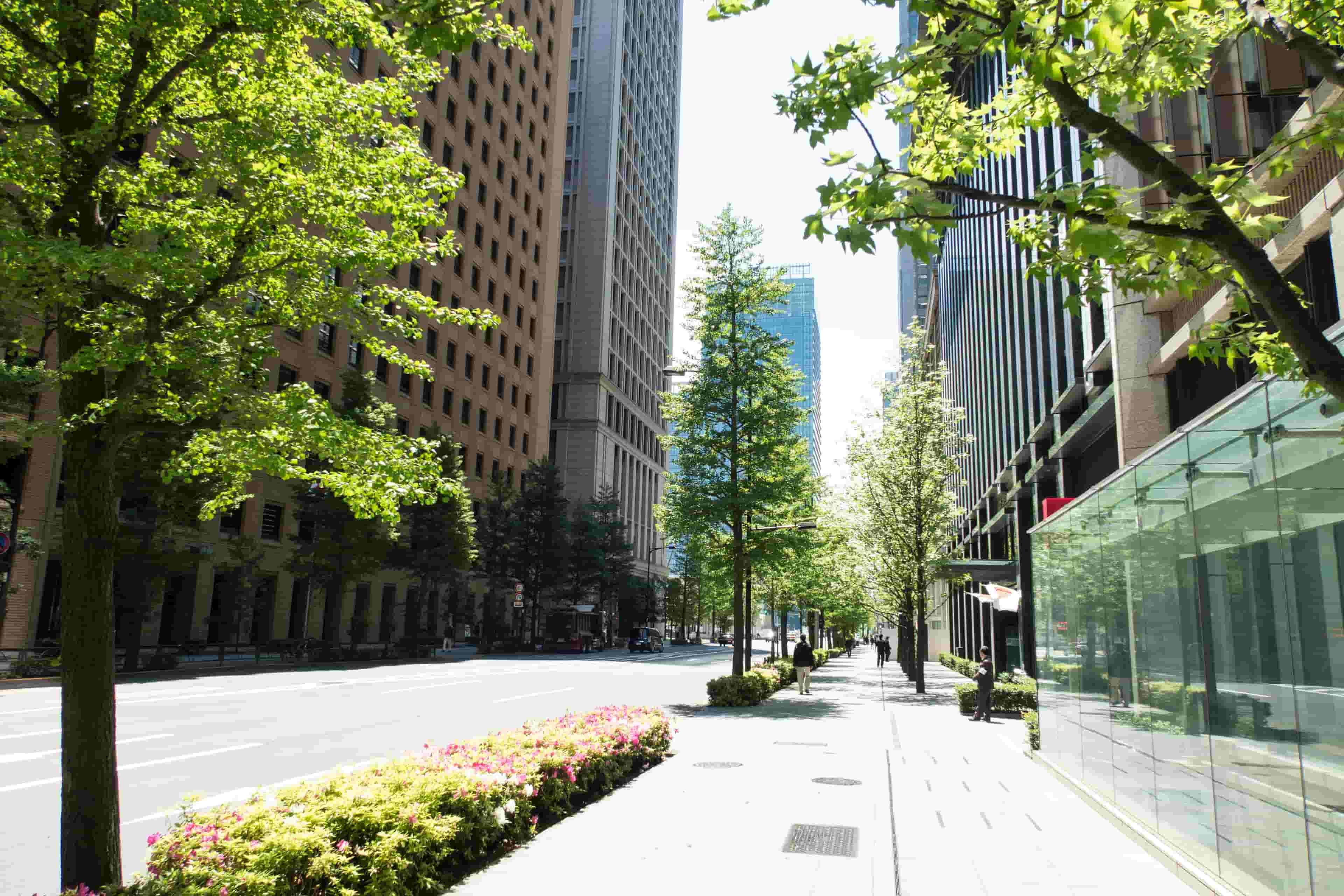 初台の家賃相場を紹介!街の特徴・人気の理由・どんな人が住んでいるかも!